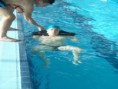 /album/galeria-de-fotos-sobre-nos/p3220162-jpg1/